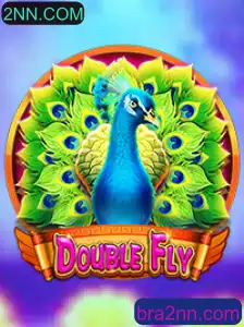 DoubleFly: Uma Imersão no Mundo dos Jogos com 2NN.COM
